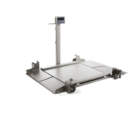 2888P-SS Vloerweegschaal - 0,5K Capaciteit - 24x24 Industriële Platform met 1ft Kabel